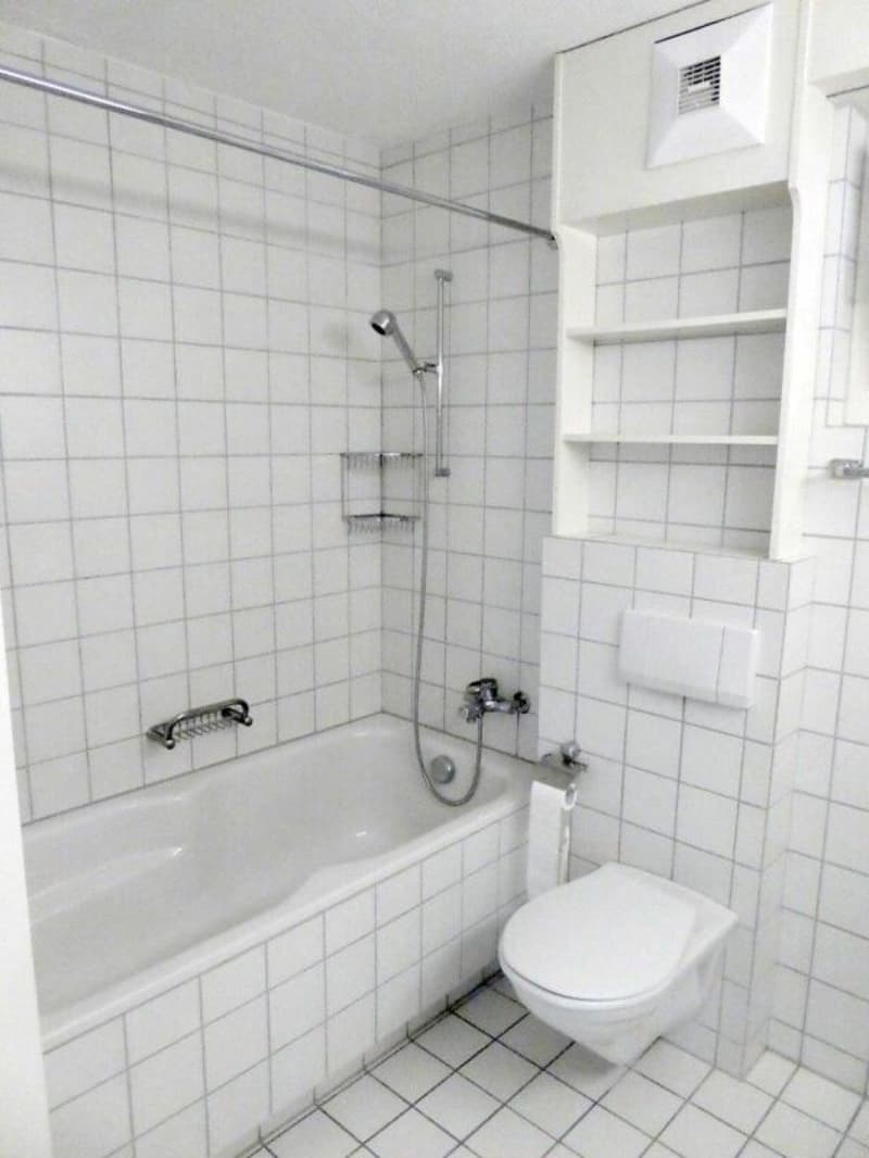 tolle 4.5- Zimmer-Gartenwohnung zu mieten (5)