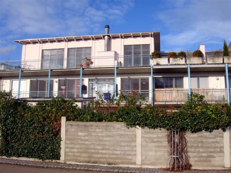 tolle 4.5- Zimmer-Gartenwohnung zu mieten (11)