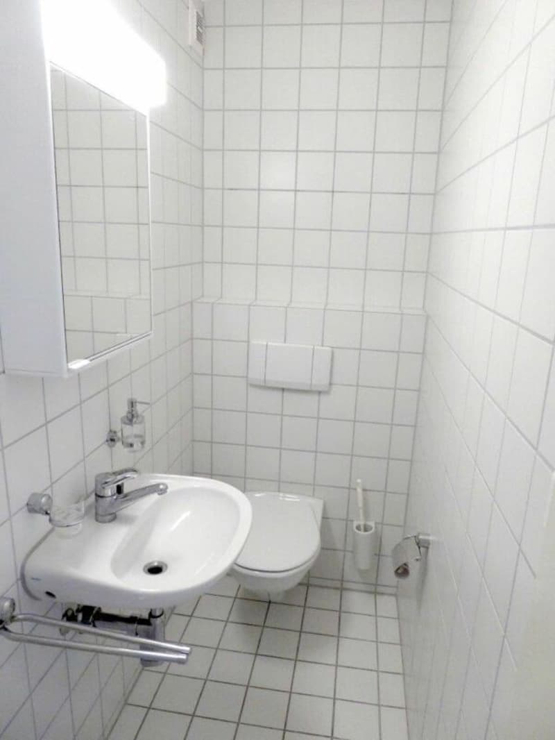 tolle 4.5- Zimmer-Gartenwohnung zu mieten (7)