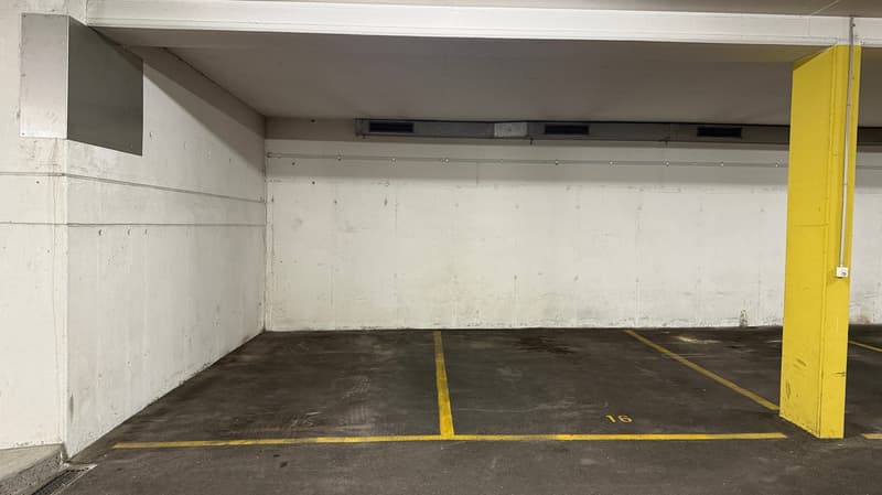 Charmante 5.5-Zimmer-Wohnung mit Kamin und Aussicht in Lufingen (18)