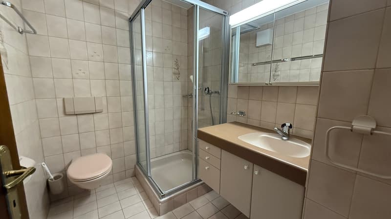 Charmante 5.5-Zimmer-Wohnung mit Kamin und Aussicht in Lufingen (17)