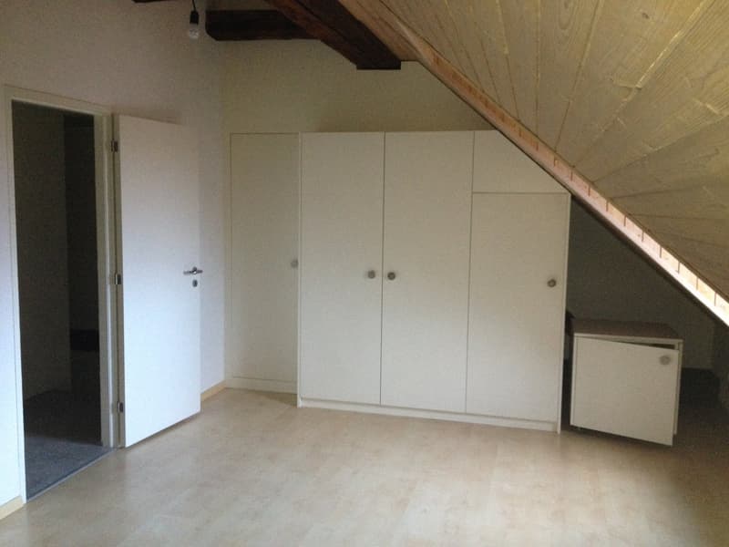 Historisches Mittelhaus mit Einliegerwohnung im Herzen des alten Dorfkerns von Opfikon (13)