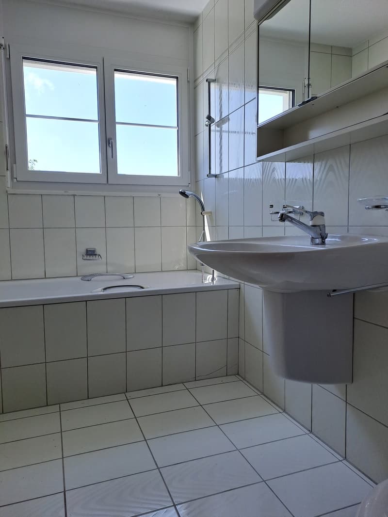 Charmante 3-Zimmer-Wohnung mit Kamin in Thundorf (6)