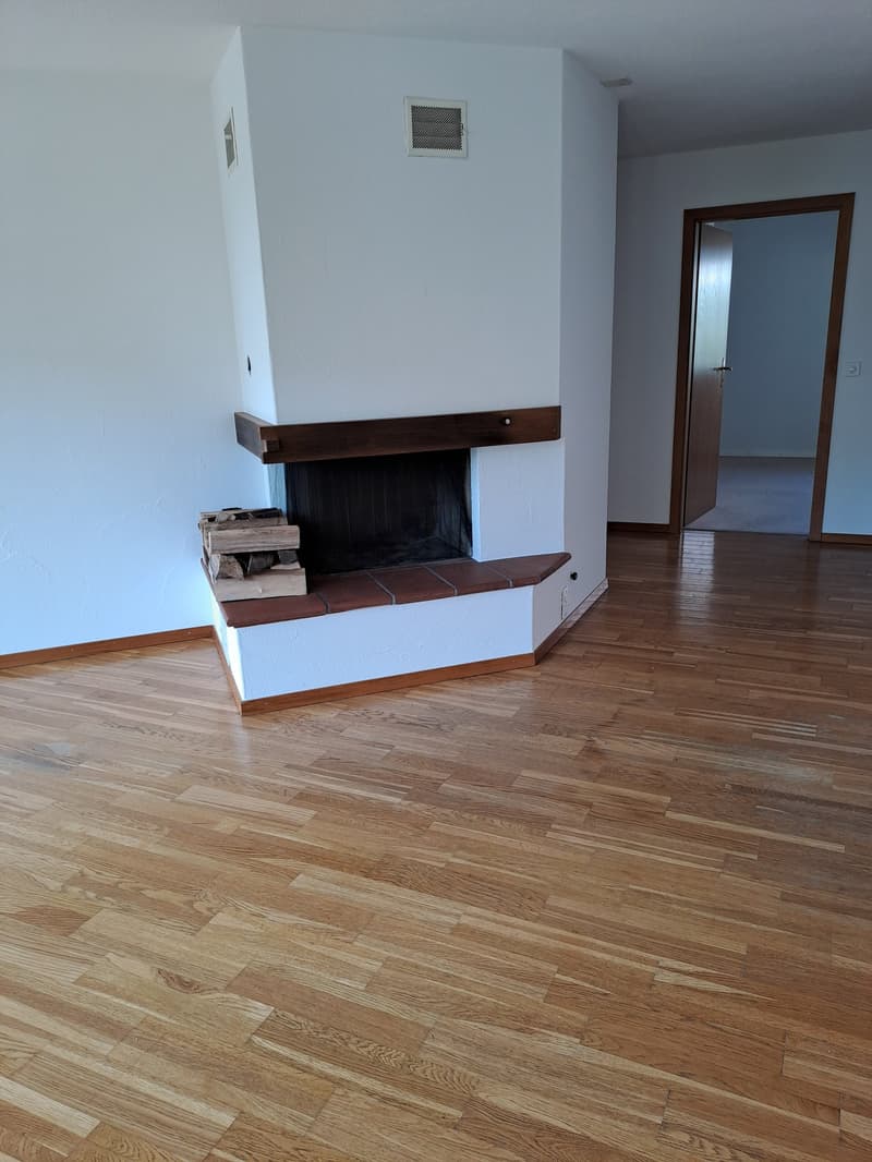 Charmante 3-Zimmer-Wohnung mit Kamin in Thundorf (4)
