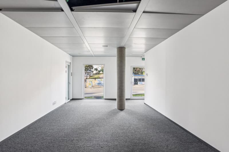 empty room, white walls, gray floor, two doors, two windows, pillar in the middle