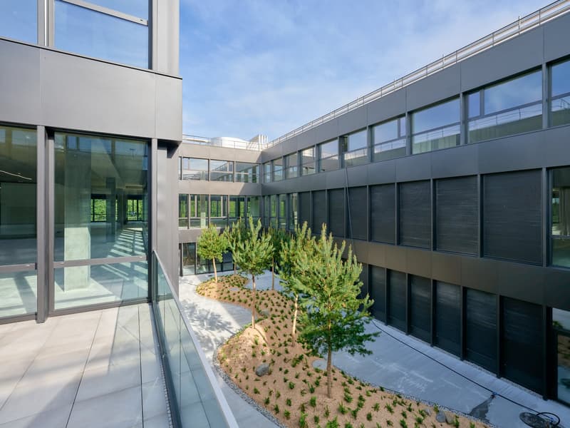 modern office building with glass walls, outdoor landscaped area, several trees, paved paths