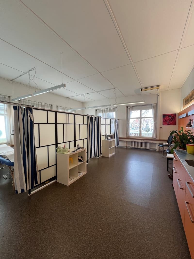 a room containing medical bed, cabinets, room divider, chair, and potted plant