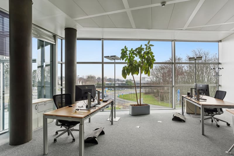 modern office space, large windows, glass doors, large plant, desks, computer monitors, office chairs