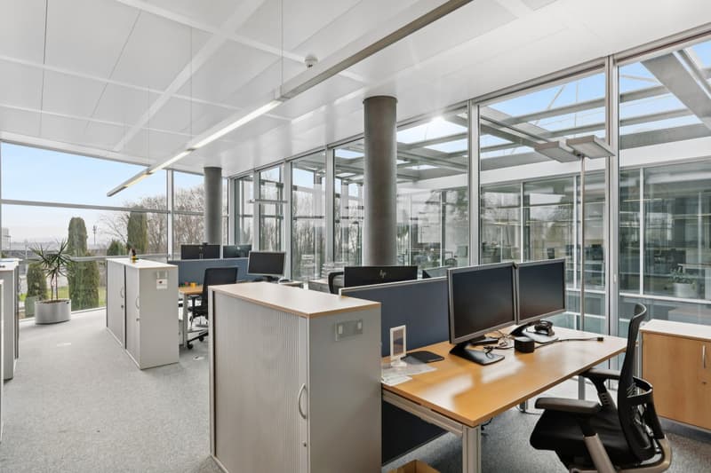modern office space with glass walls, large windows, desks, monitors, chairs, plants, and ceiling lights