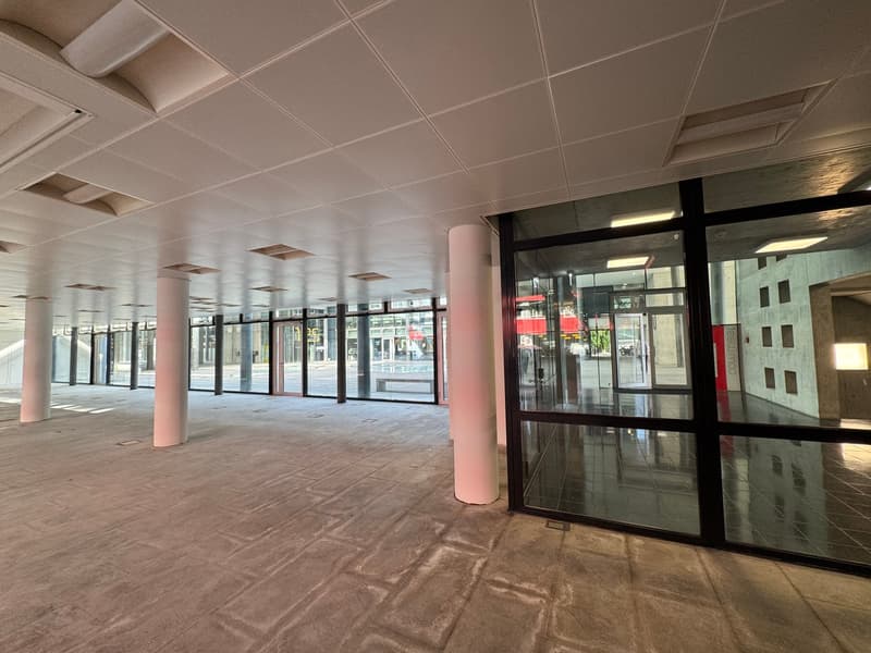 Erdgeschoss Gewerbefläche in Zürich-West (4)