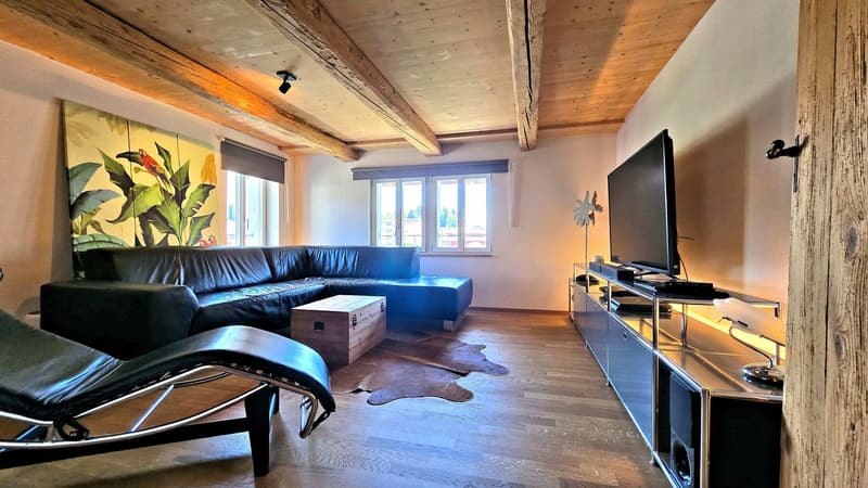 Komplett renoviert und stilvoll ausgebaut (5)