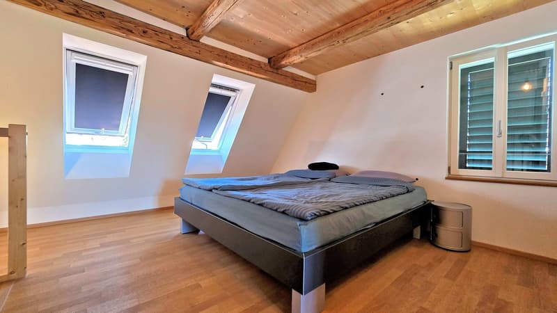 Komplett renoviert und stilvoll ausgebaut (9)