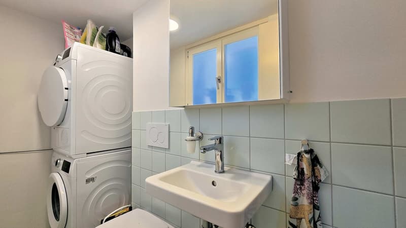 Komplett renoviert und stilvoll ausgebaut (11)