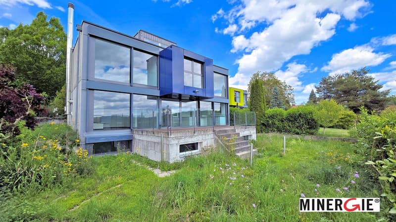 Modernes Einfamilienhaus mit viel Wohnraum und Weitsicht (1)