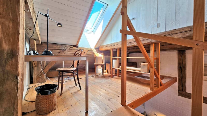 Neu aufgebauter Flarzhausteil mit Atelier-/Loftbereich (12)