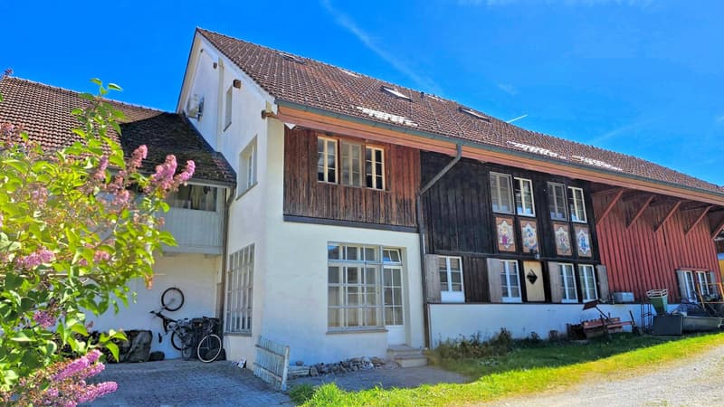 Neu aufgebauter Flarzhausteil mit Atelier-/Loftbereich (2)