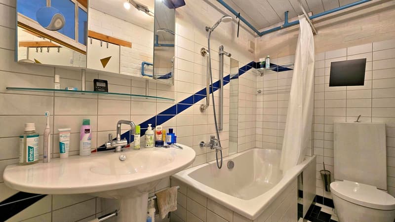 Neu aufgebauter Flarzhausteil mit Atelier-/Loftbereich (13)