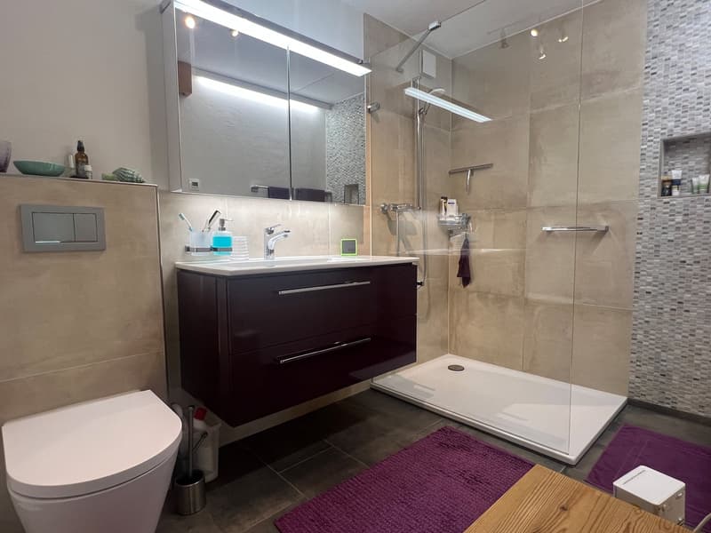 Dusche / WC wurde 2016 erneuert