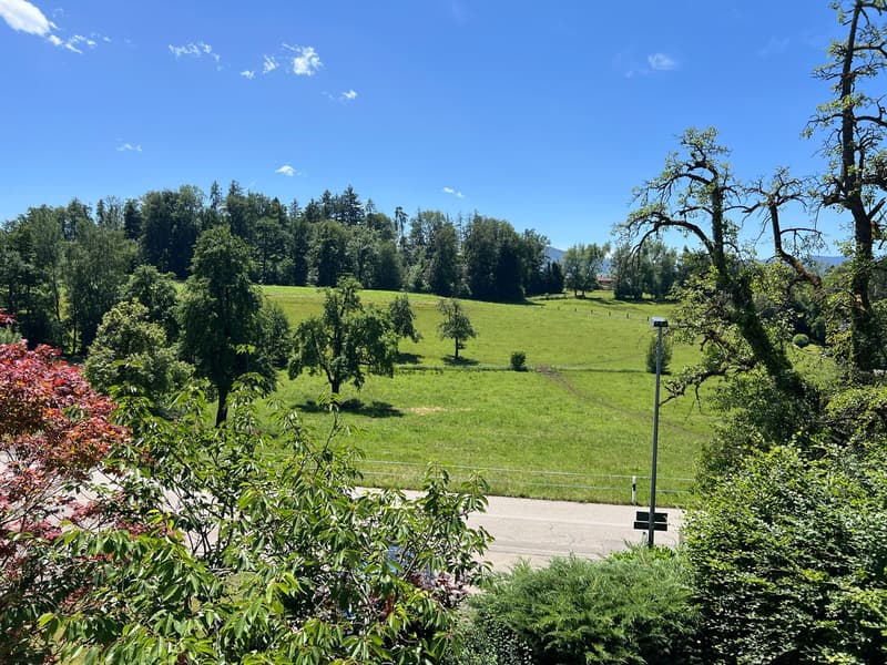 Herrliche Aussicht vom Balkon ins Grüne