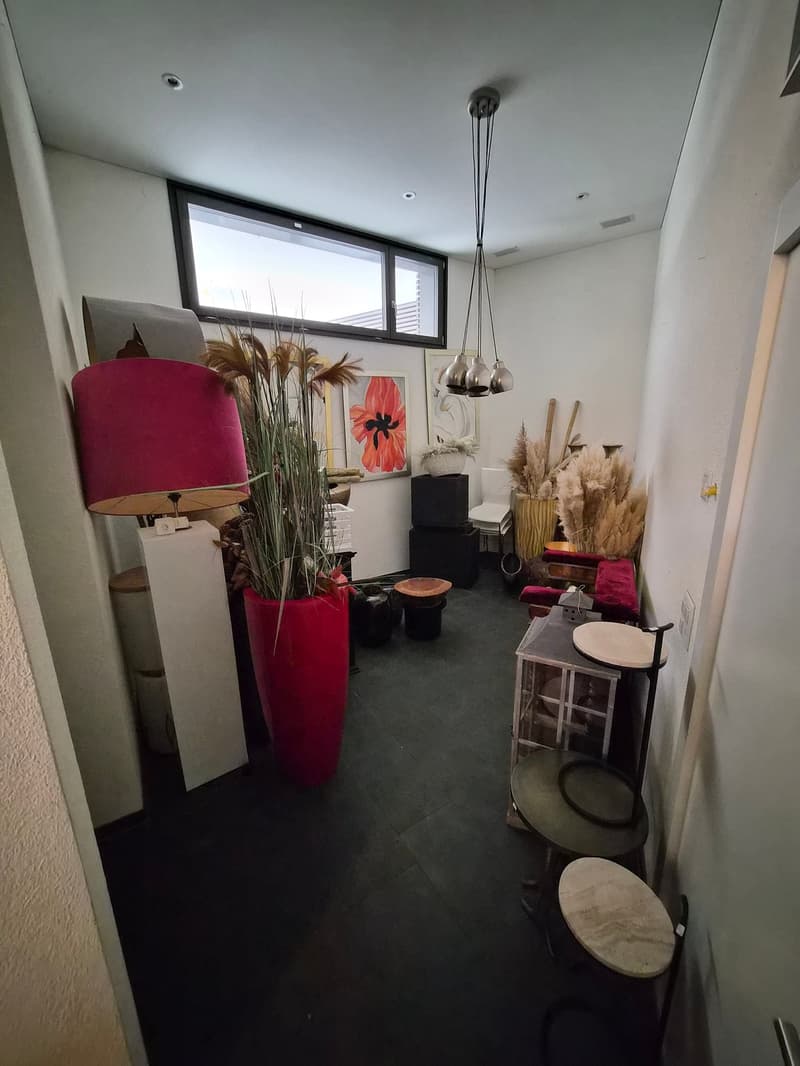 Attraktive Gewerbe-/Ladenfläche (10)