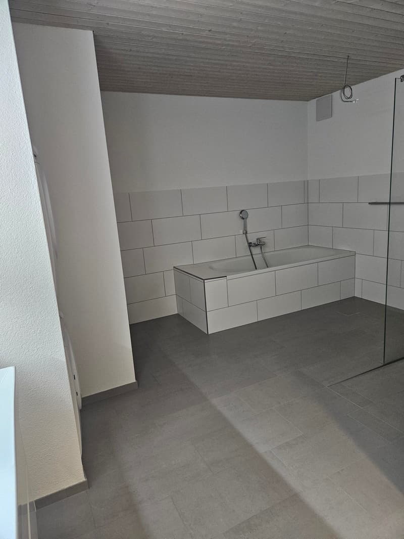 Grosszügige Wohnung an attraktiver Lage (9)