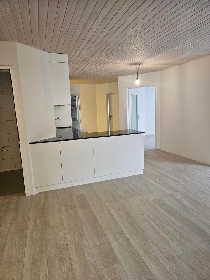 Grosszügige Wohnung an attraktiver Lage (4)