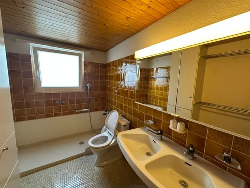 Charmantes 5.5-Zimmer-Terrassenhaus mit traumhafter Aussicht (8)