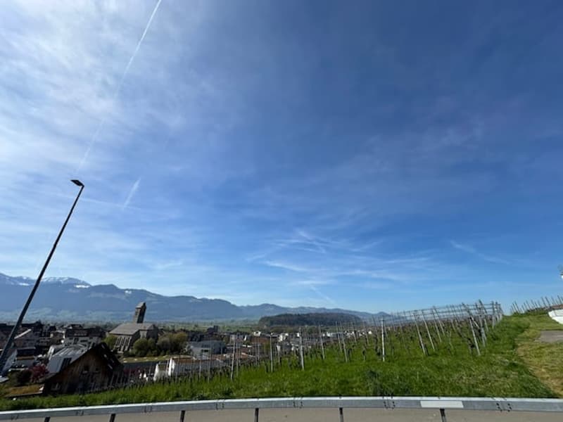 Aus- und Fernsicht in Bergketten südwest