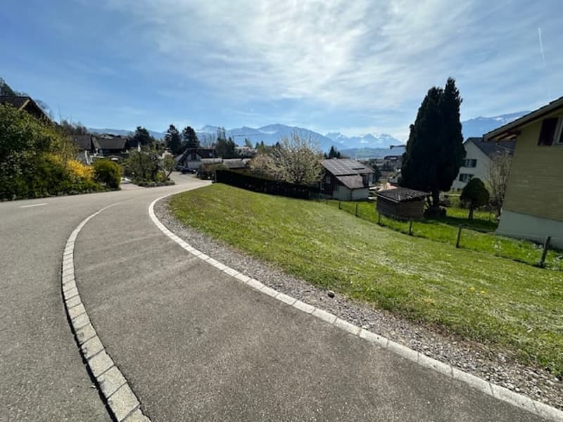 Erschliessungs-Strasse mit Trottoir nord (Bifangstrasse)