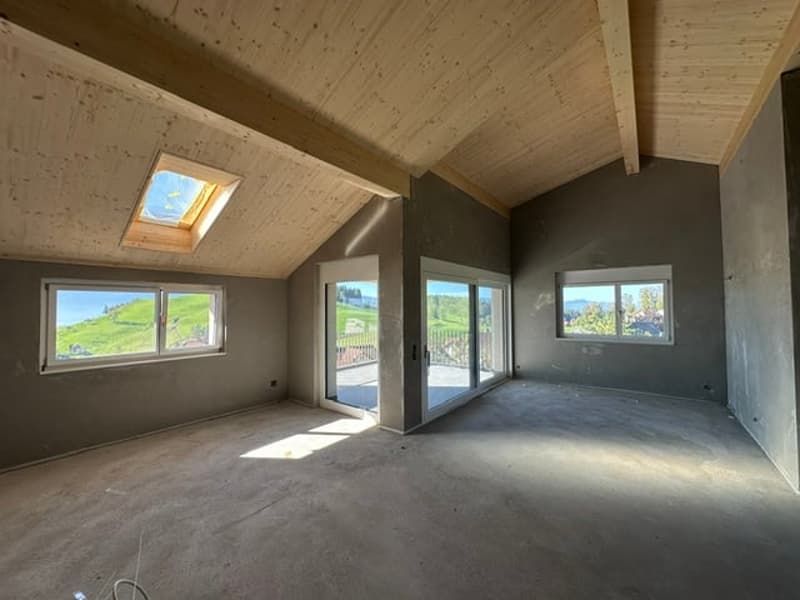 6 1/2-ZIMMER-EIGENHEIM / SONNE / NATUR / EINLIEGERWOHNUNG (5)