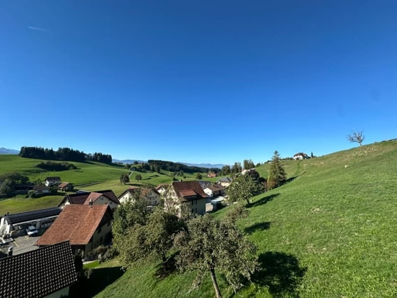 6 1/2-ZIMMER-EIGENHEIM / SONNE / NATUR / EINLIEGERWOHNUNG (3)