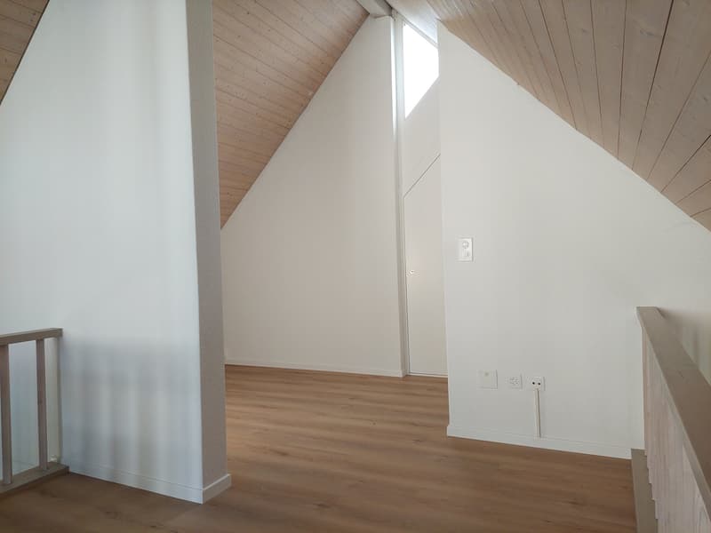 Grosszügige Maisonettewohnung mit Galerie im Herzen von Eschenbach (18)