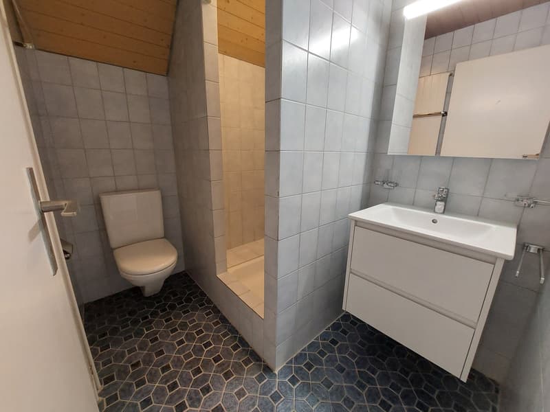 Grosszügige Maisonettewohnung mit Galerie im Herzen von Eschenbach (10)