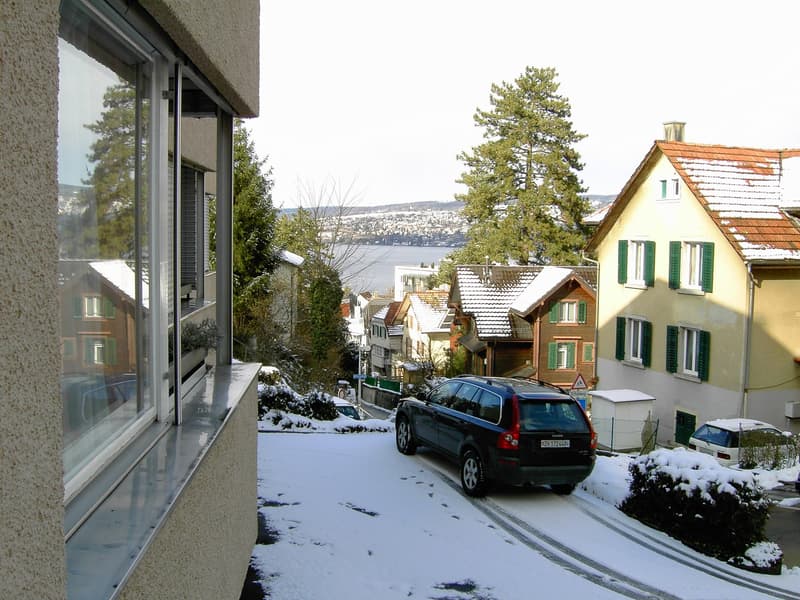Snow-covered street with residential buildings, parked cars, greenery, a lake in the distance, and a scenic view