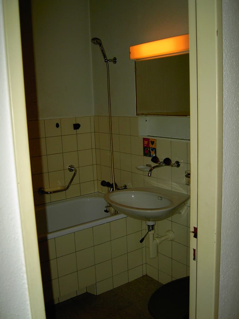 Charmante 1 & 2-Zimmer-Wohnung mit Balkon und Seeblick in Horgen – befristet bis Ende Juni 2026 (5)