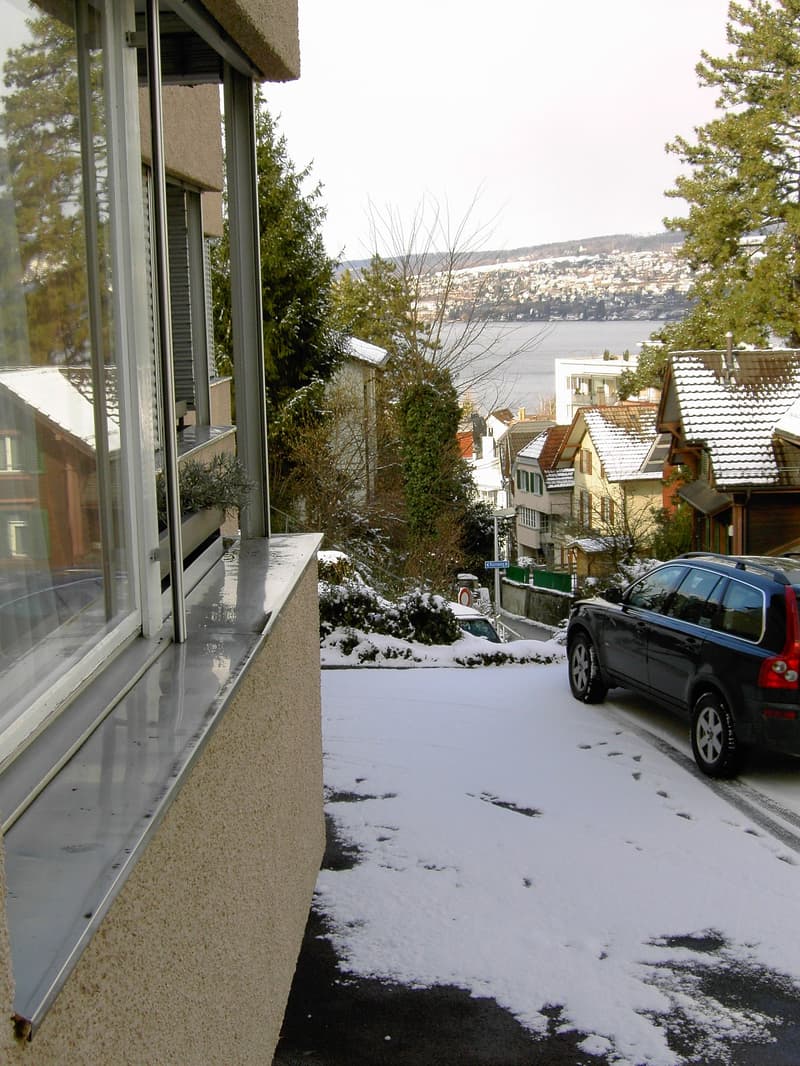 Charmante 1 & 2-Zimmer-Wohnung mit Balkon und Seeblick in Horgen – befristet bis Ende Juni 2026 (14)