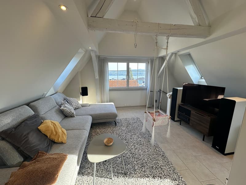 Charmante 5-Zimmer-Maisonette-Wohnung in Horgen mit Garten (10)