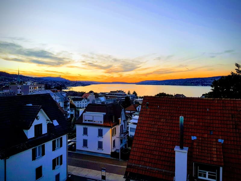 Charmante 5-Zimmer-Maisonette-Wohnung in Horgen mit Garten (17)