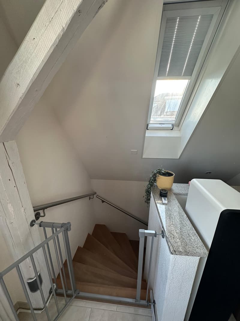 Charmante 5-Zimmer-Maisonette-Wohnung in Horgen mit Garten (8)