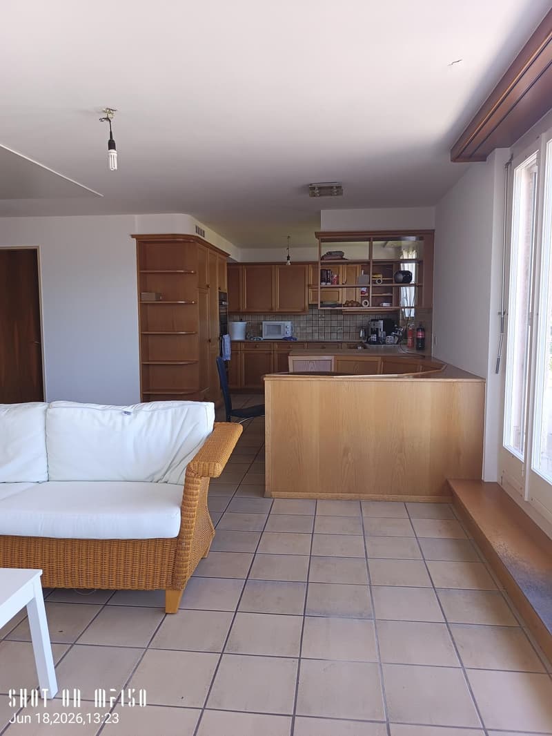 5-Zimmer-Wohnung mit traumhafter Terrasse und Seeblick in Horgen – befristet bis März - April 2027 (4)
