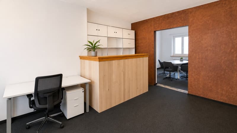 Charmantes Büro mit Lounge, Sitzungszimmer & Teeküche an zentraler Lage (1)