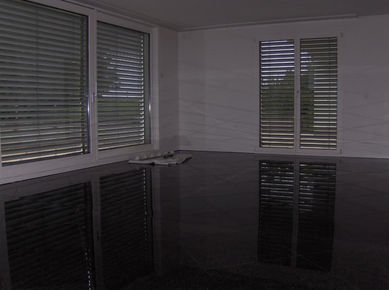Charmante 3.5-Zimmer-Dachwohnung in Schönenberg ZH – Modern, Ruhig & Mit Aussicht (14)