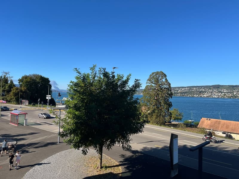 Helle 4.5-Zimmer-Wohnung mit Seesicht an der Seestrasse in Horgen (4)