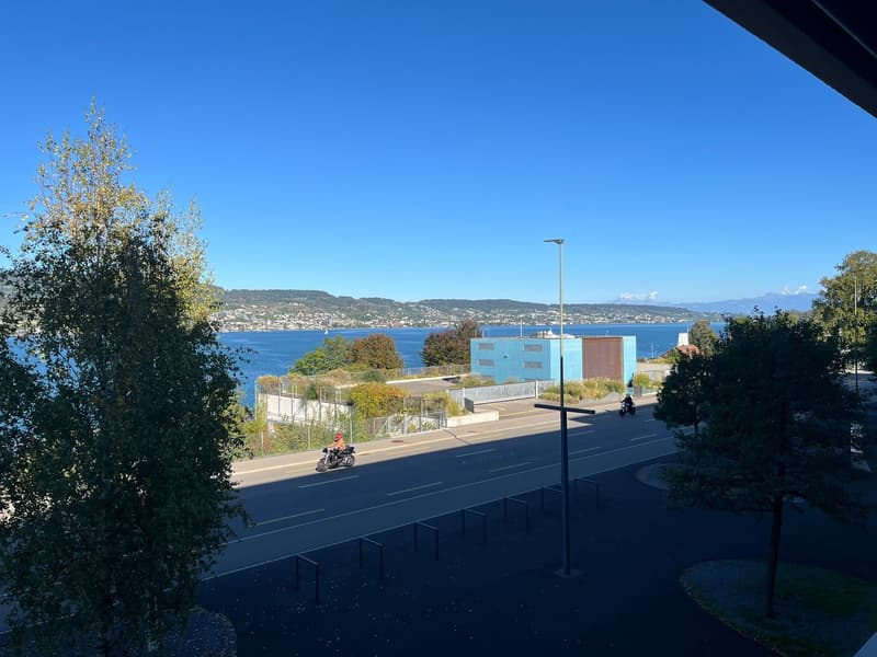 Helle 4.5-Zimmer-Wohnung mit Seesicht an der Seestrasse in Horgen (5)