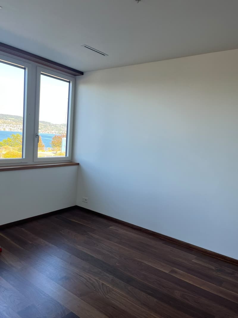 Helle 4.5-Zimmer-Wohnung mit Seesicht an der Seestrasse in Horgen (14)