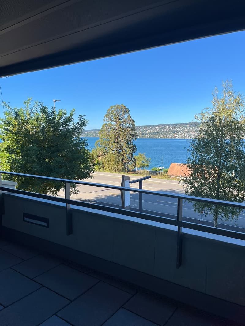 Helle 4.5-Zimmer-Wohnung mit Seesicht an der Seestrasse in Horgen (3)