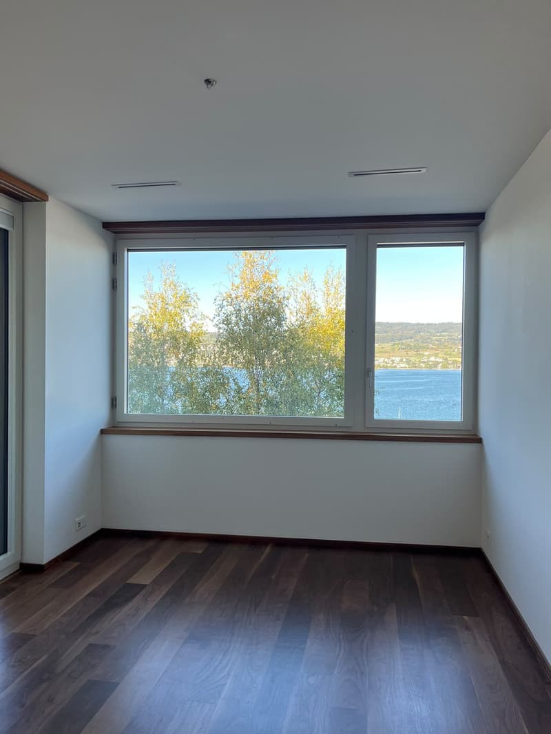 Helle 4.5-Zimmer-Wohnung mit Seesicht an der Seestrasse in Horgen (16)