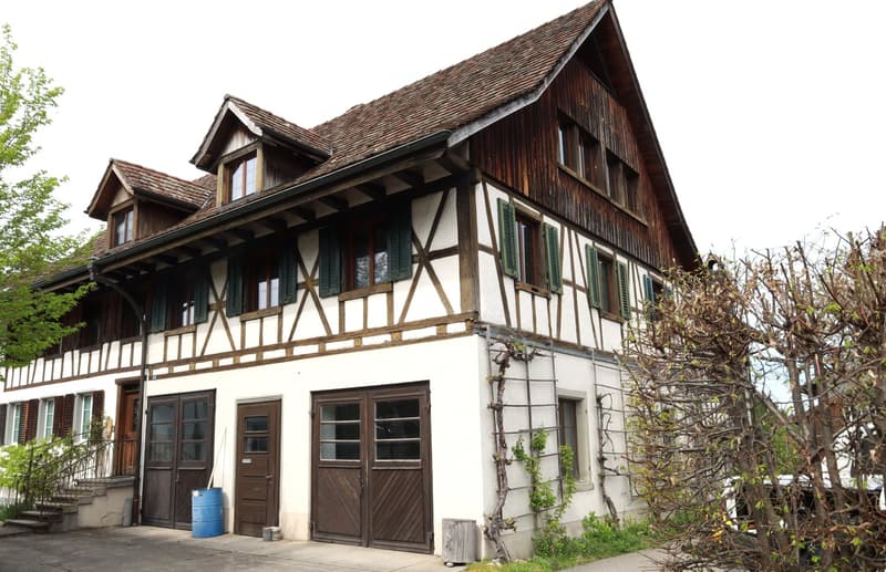 Charmante Riegelhaushälfte mit Charakter und Umschwung (3)