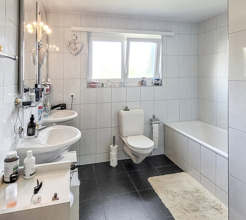 Tolles Einfamilienhaus mit grossem Grundstück (7)