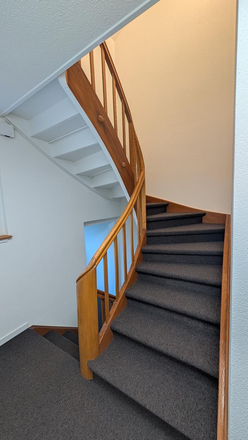 wooden staircase with carpeted steps and wooden handrail